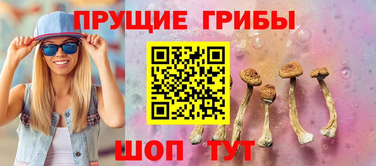 Заводоуковск  Псилоцибиновые грибы Psilocybe  Вход с VPN 
