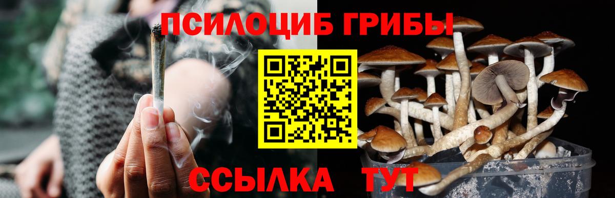 Галлюциногенные грибы GOLDEN TEACHER Заводоуковск